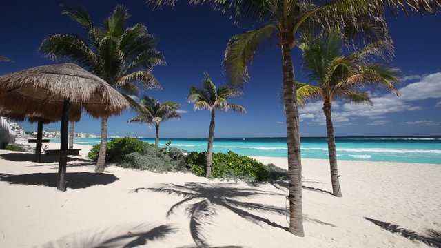 Tropical beach with coconut palm trees and sun umbrella on caribbean coastline
