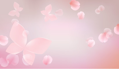 elegant soft pink color flowers with butterfly