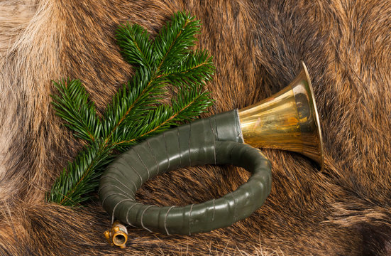 Jagdhorn auf Wildschwein