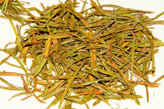 The Dried Labrador Tea Closeup