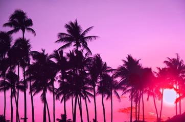 Fototapeta na wymiar ヤシの木と夕焼けの空,ハワイ,