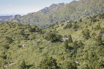 Yakushima