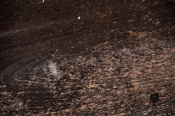 Surface of timber background,wood background.