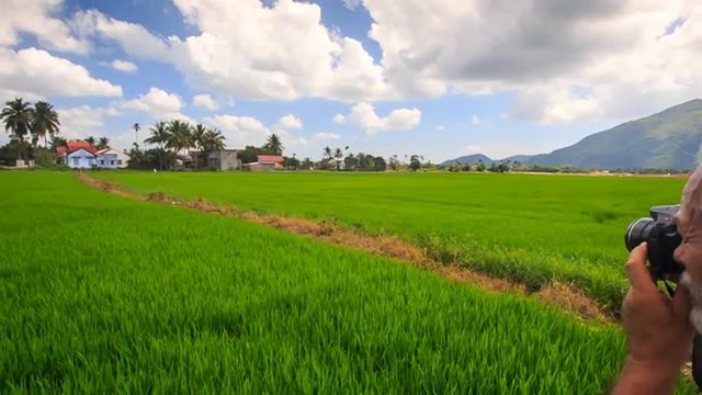 Old Man Photos Landscape among Rice Field