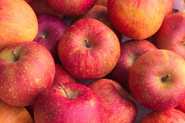 Fototapeta na wymiar Pesticide-free apples