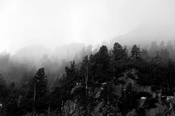 Fotobehang Silhouettes in the fog © ribtoks