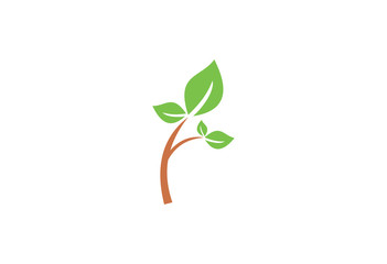Fototapeta na wymiar eco tree growth forest logo