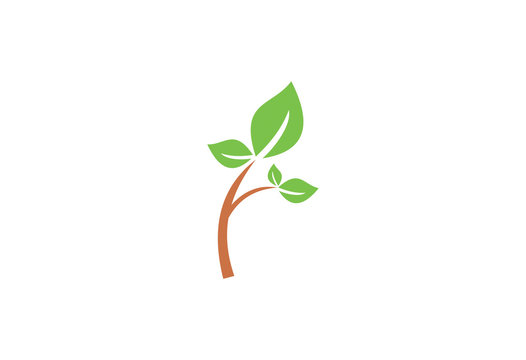 eco tree growth forest logo