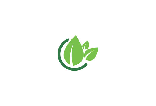 Green Earth Labels Concept With Leaves Logo