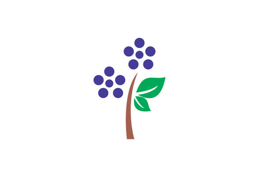 Plum tree vector illustration logo