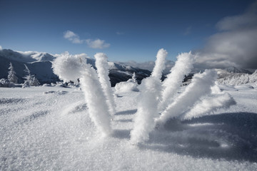 Tatry zachodnie - zima © burasek79