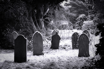 Cemetery & snow - Powered by Adobe