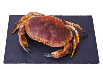 crab on slate plate