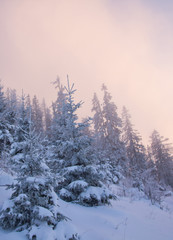 Winter im Gebirge