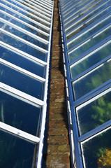 Obraz premium Glass garden cloche.