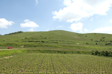 Fototapeta premium Haselschacher, Buck, kaiserstuhl