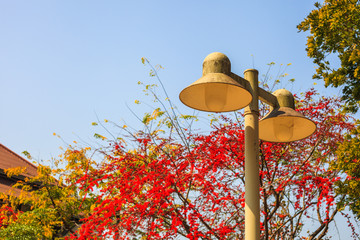 a lamp post on a background of blue sky and tree