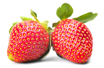 the ripe strawberry