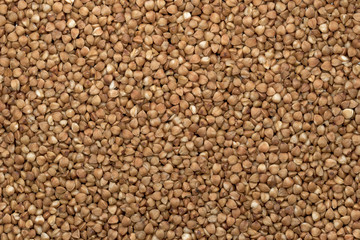 Buckwheat close up