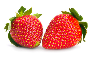 the ripe strawberry