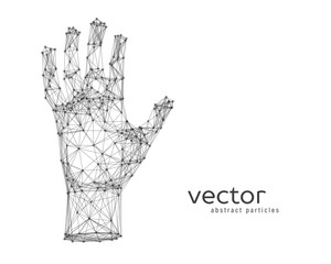 Vector illustration of human arm