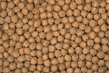 chick-pea close up