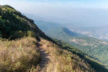 Fototapeta na wymiar Walk way to viewpoint on the mountain at Doi Inthanon National Park, Chiang Mai, Thailand