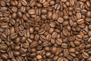 Coffee beans close up