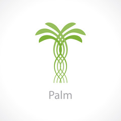 palm tree - 103085119