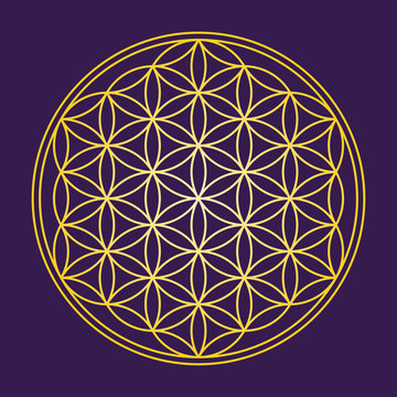 Flower of Life - Gold on dark purple background - a geometrical figure, composed of multiple evenly-spaced, overlapping circles. A strong symbol since ancient times, forming a flower-like pattern.