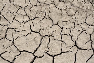 Cracked ground