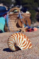 Beach bag with a book and a telephone