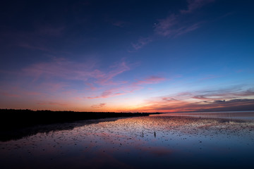 Fototapeta premium One star at dawn fill peaceful and strong.