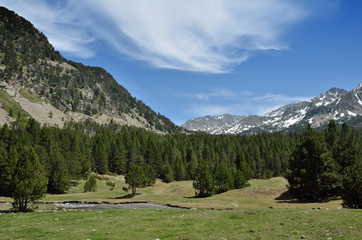 Fototapeta na wymiar Alpine valley Vall-de-Madriu-Perafita-Claror, Pyrenees