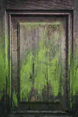 Old peeling paint door