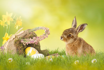 Happy Easter