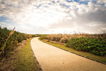 Road, grass, landscape. Okinawa, Japan, Asia.