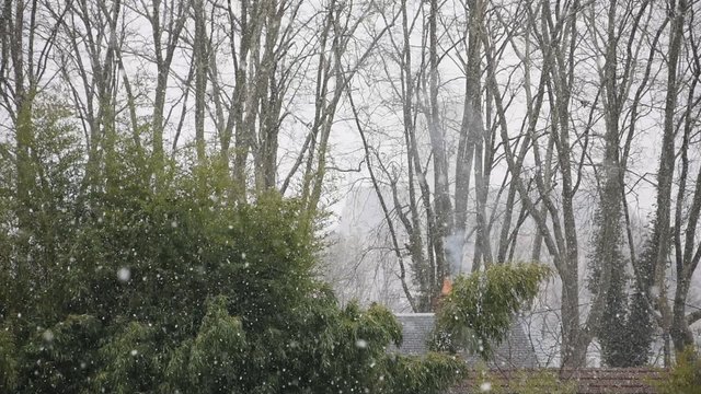 Flocons de neige