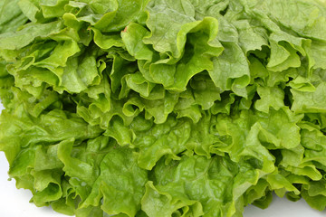 Green fresh lettuce as background.