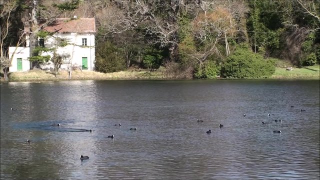 Sorgenti del fiume Volturno parco nazionale Abruzzo Lazio Molise
