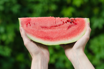 Summer and fresh watermelon theme: a man holds a slice of watermelon on a green background