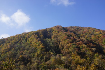 秋　西沢渓谷　川　谷　滝　