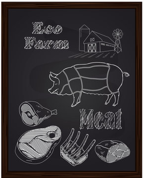pork diagram and pieces of meat