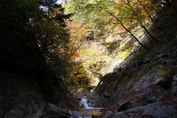 秋　西沢渓谷　川　谷　滝