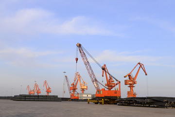 Fototapeta premium Many of the crane in work, in the cargo terminal