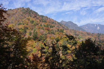 秋　西沢渓谷　川　谷　滝