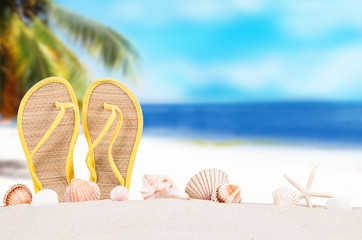 Summer concept of sandy beach, flip flop, narcissus and starfish.