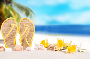 Summer concept of sandy beach, flip flop, narcissus and starfish.