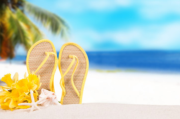 Summer concept of sandy beach, flip flop, narcissus and starfish.