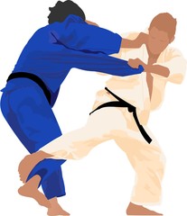 Panele Szklane  Judo to nowoczesna sztuka walki